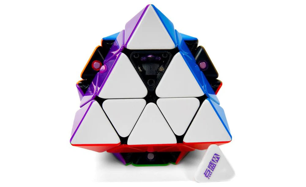 Diansheng FTO (Magnetic)