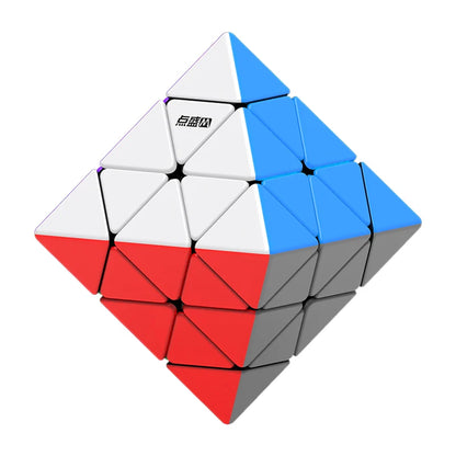 Diansheng FTO (Magnetic)